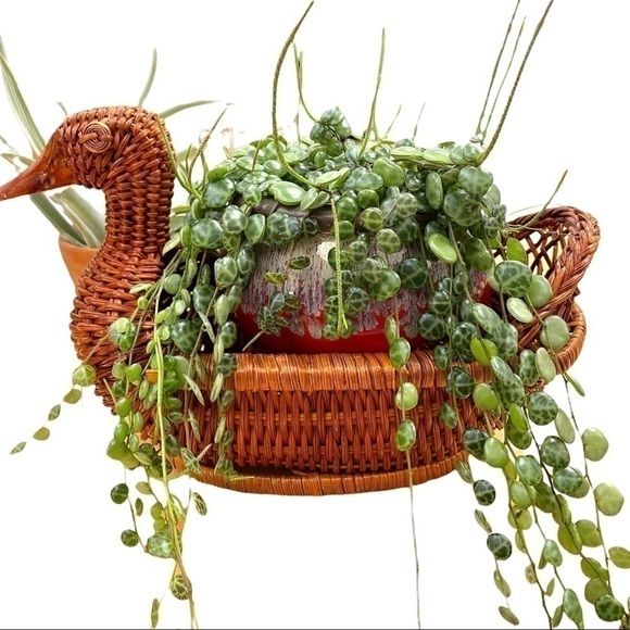 𝅺duck basket, vintage, rattan with wooden beak, handmade, about 10 inches long - Picture 5 of 5